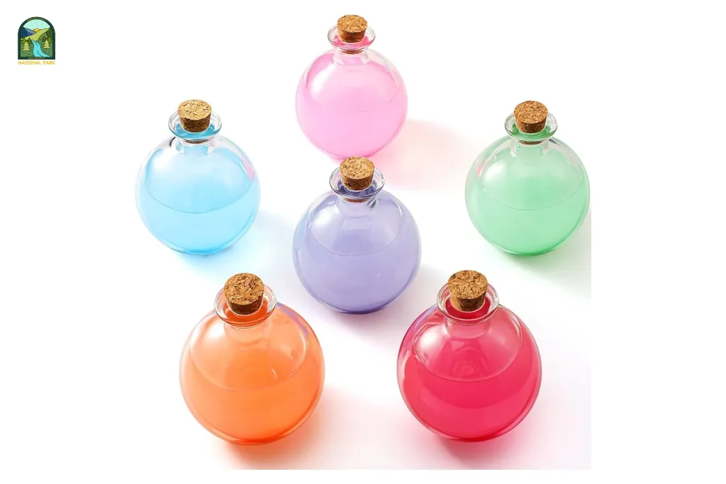 Best Round Water Bottles