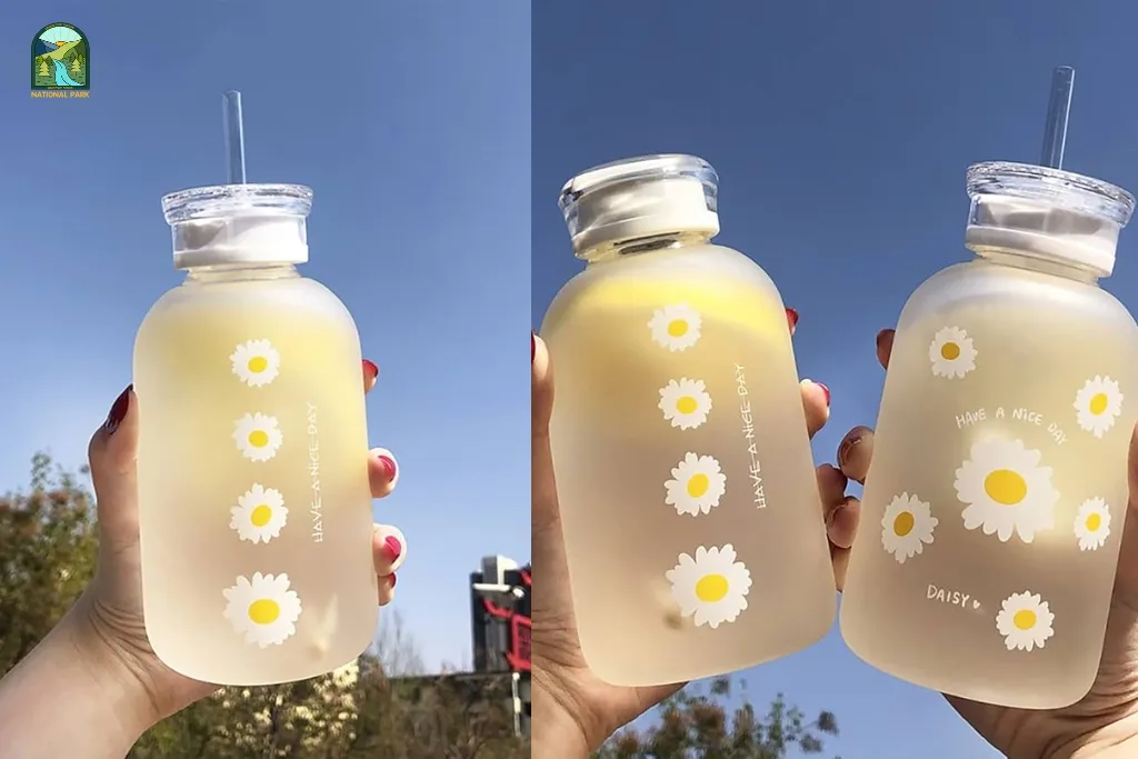 Best Round Water Bottles