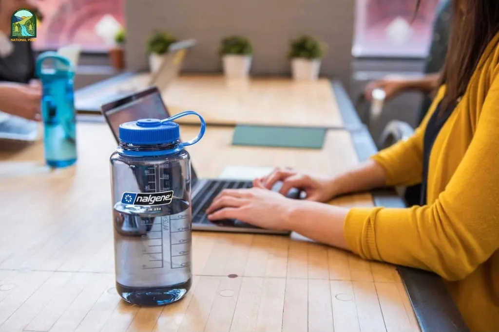 Best Water Bottles for Camping