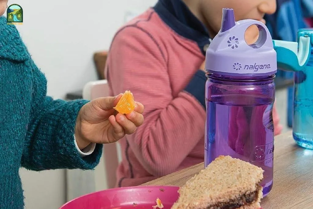 The 7 Best Water Bottles for Kids