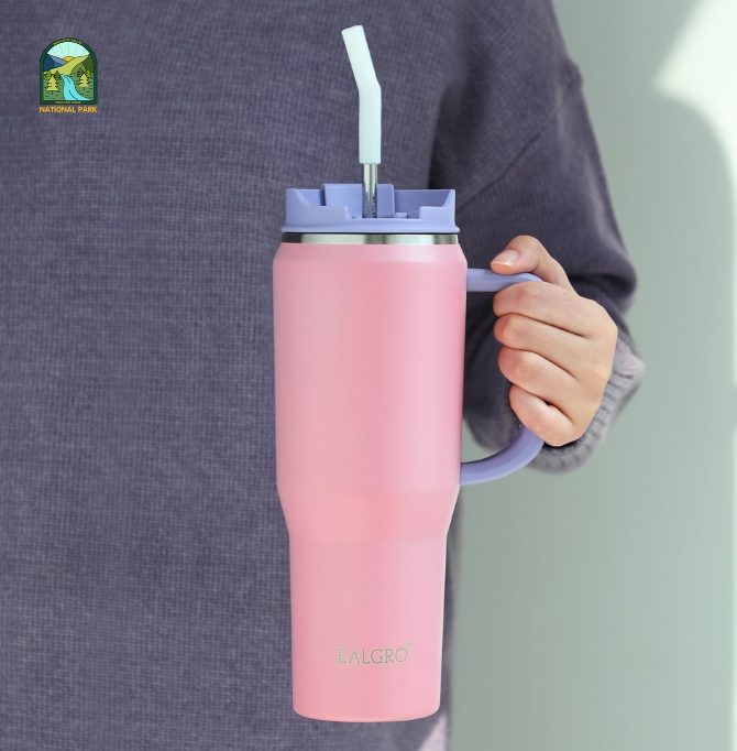 water bottle with handle