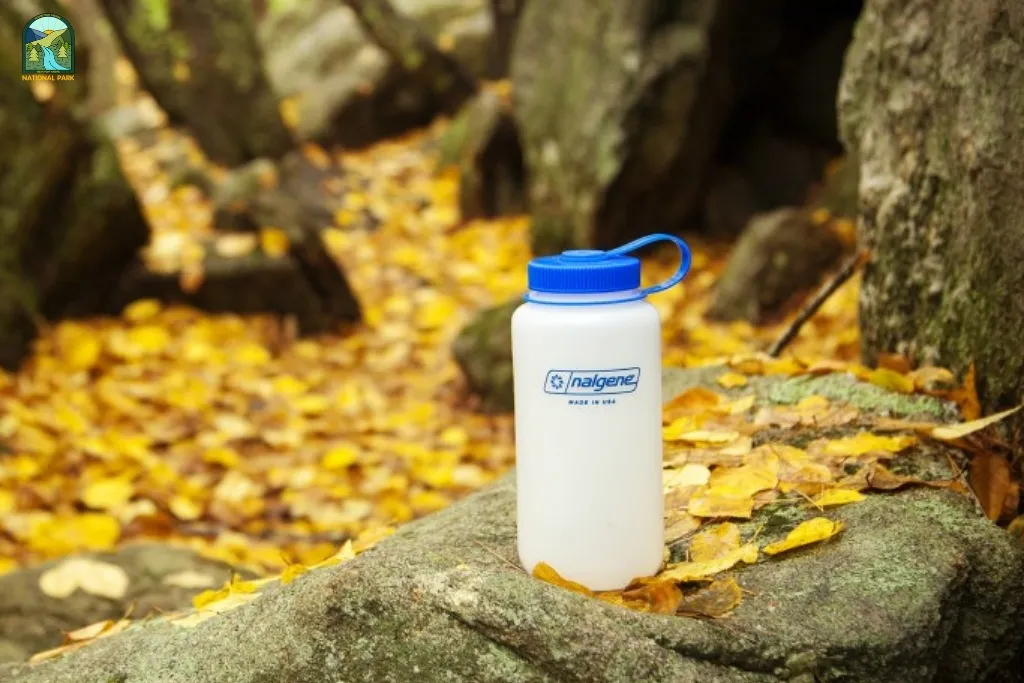 Best Wide Mouth Water Bottles