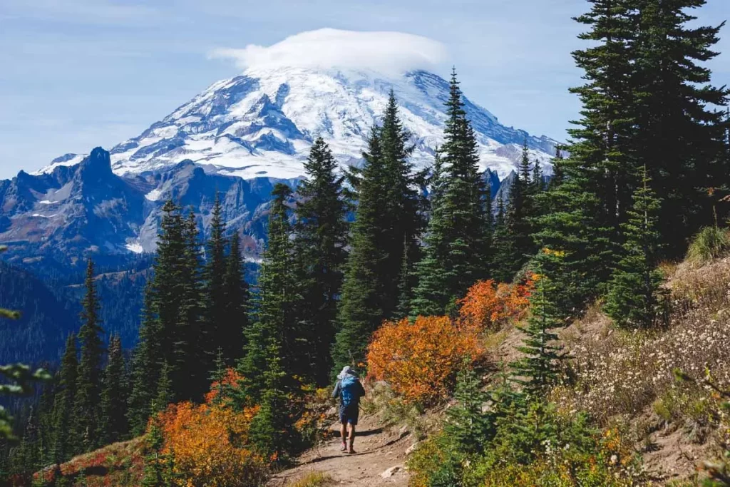 A Day Hiking At Mount Rainier National Park