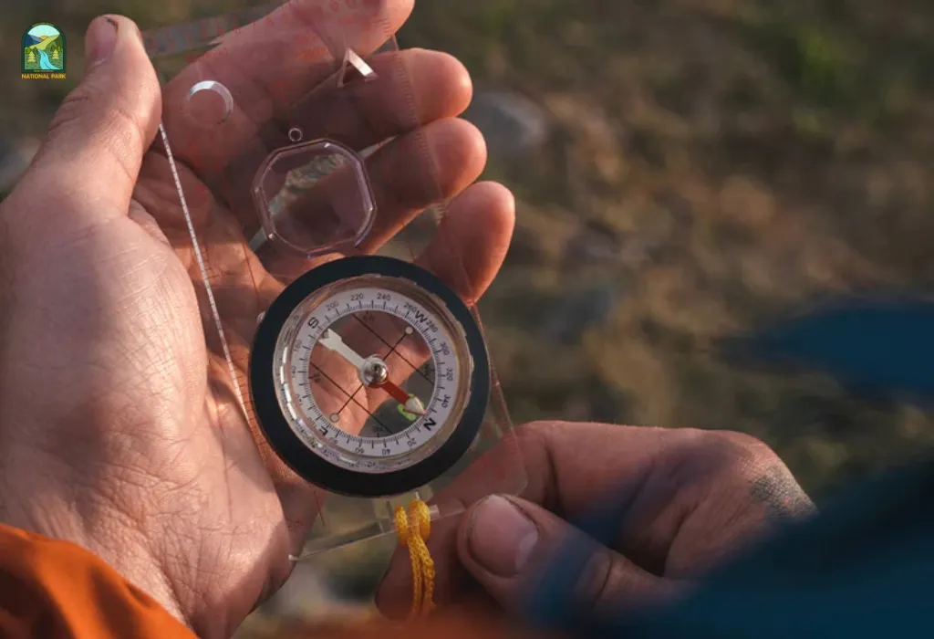 best compass for beginners