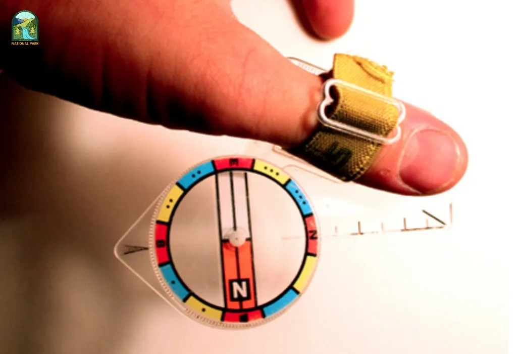 best compass for beginners