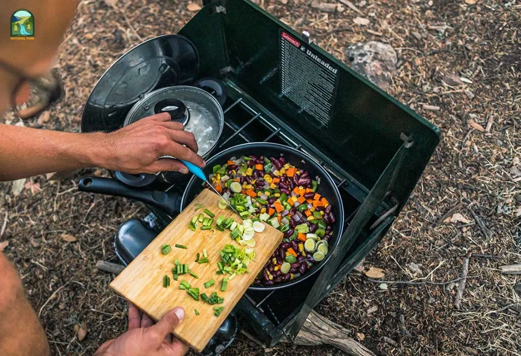 best portable stove