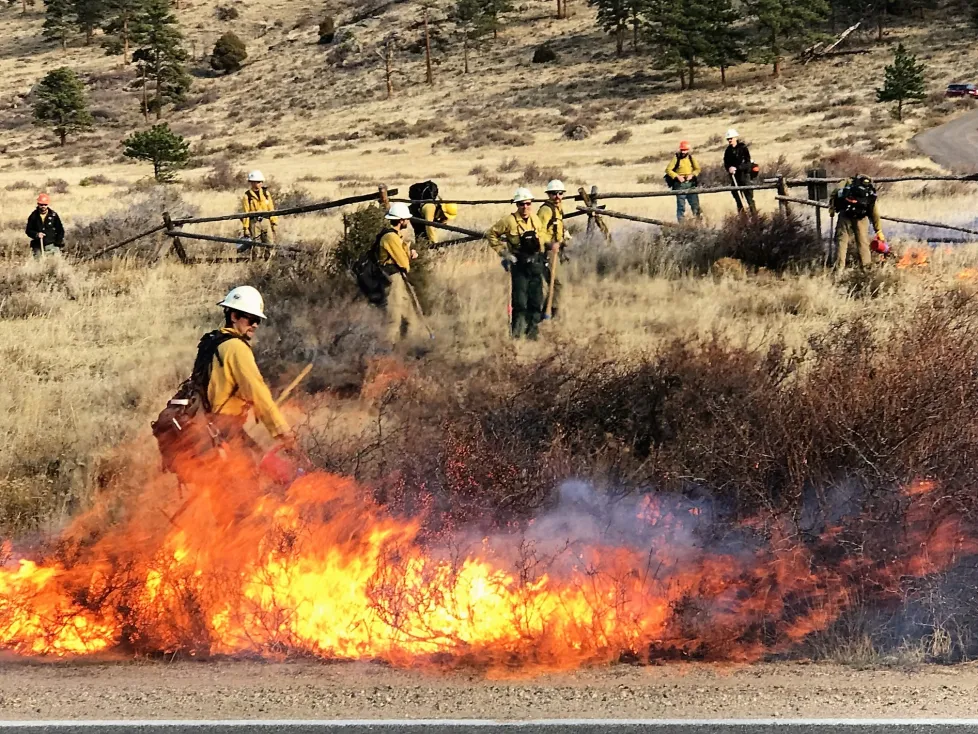 Rocky Mountain National Park announces plans for a potential prescribed burn