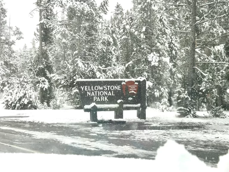 Snowstorm Blankets Yellowstone National Park