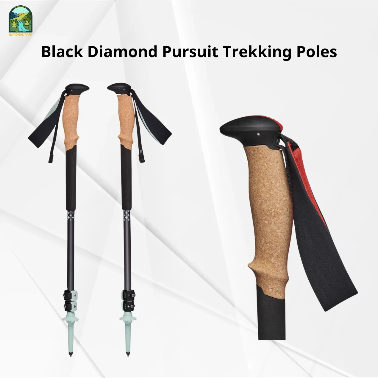 best trekking poles
