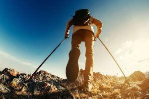 best trekking poles