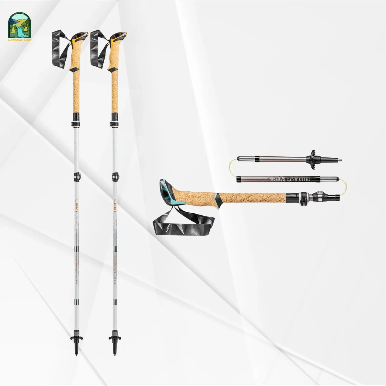 best trekking poles
