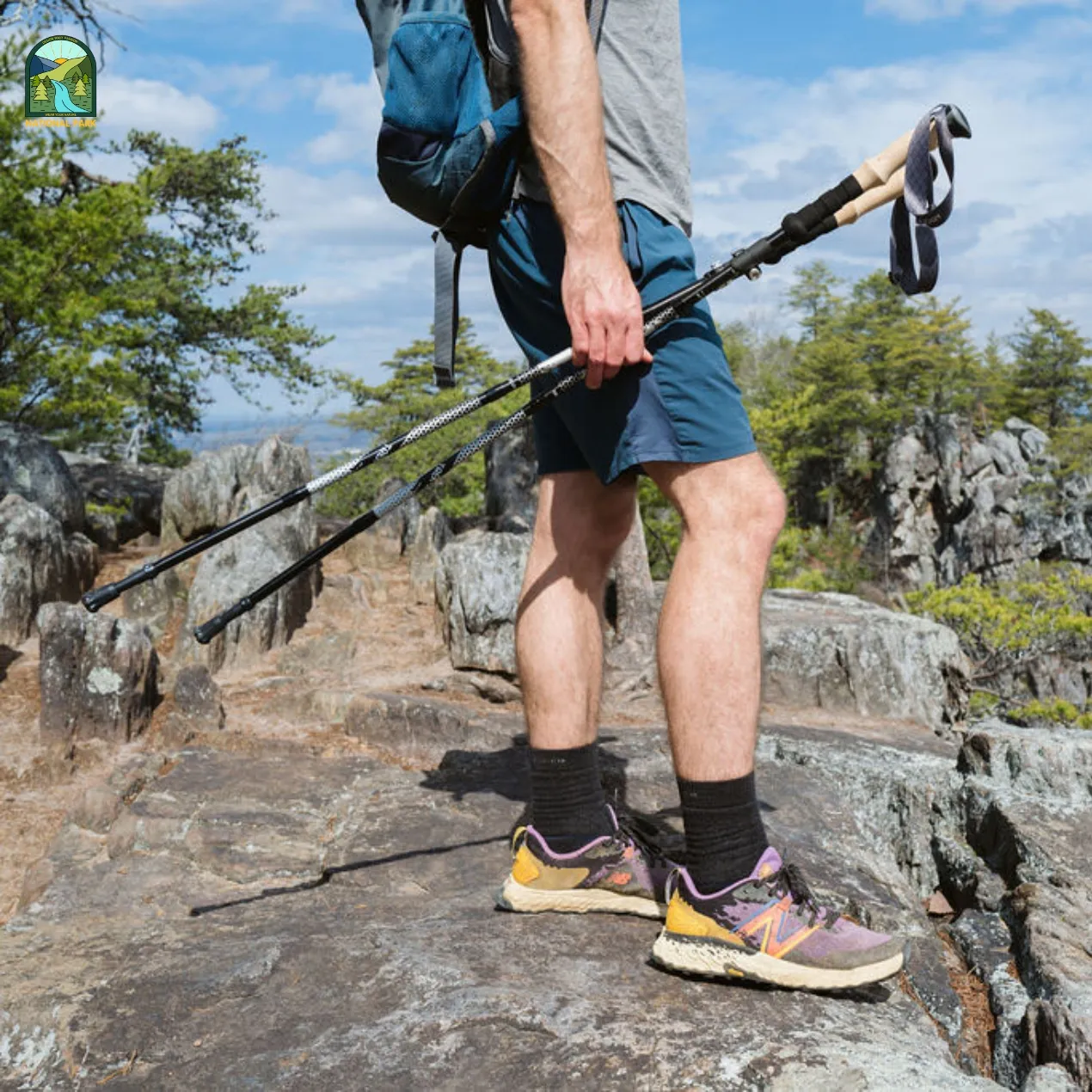 best trekking poles