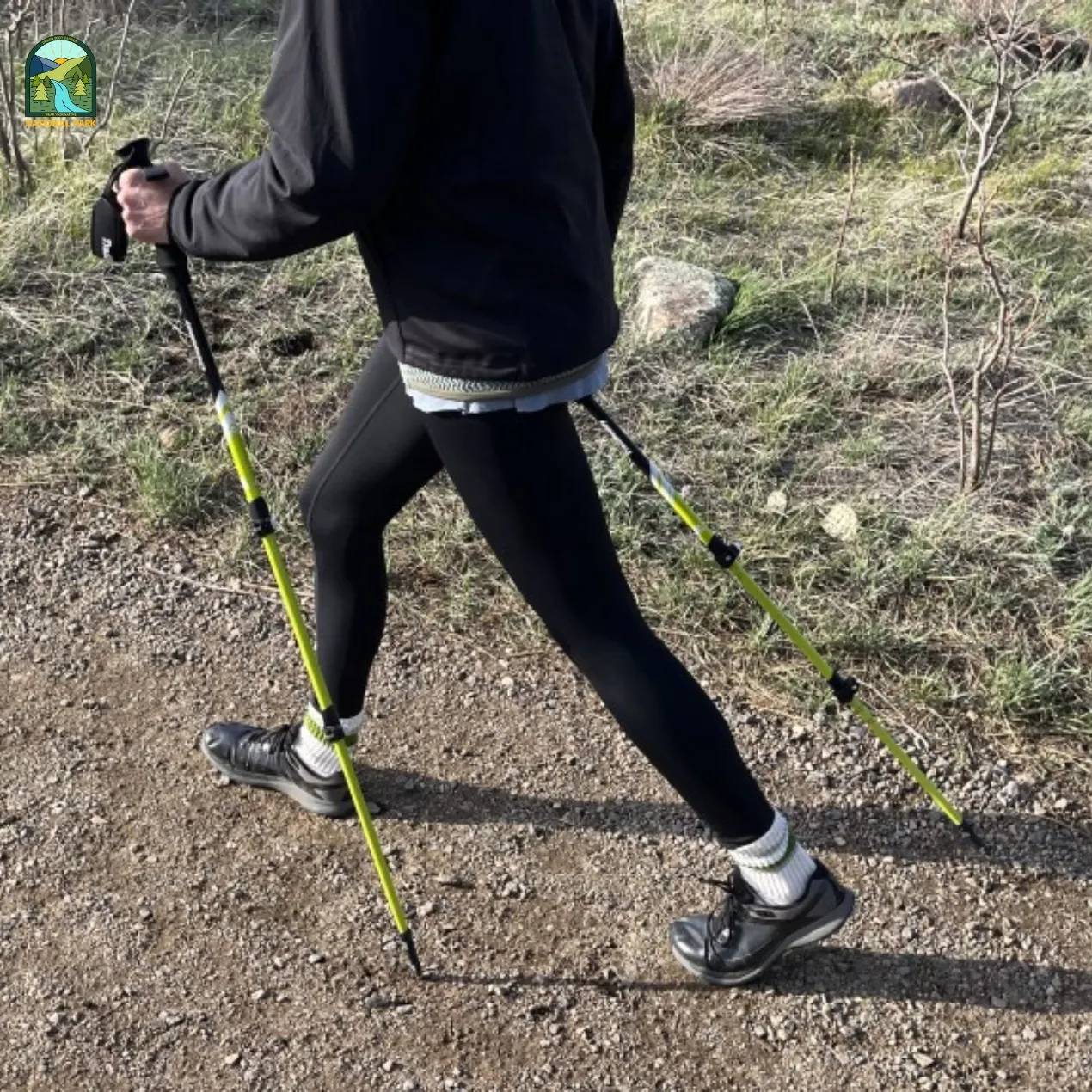 best trekking poles