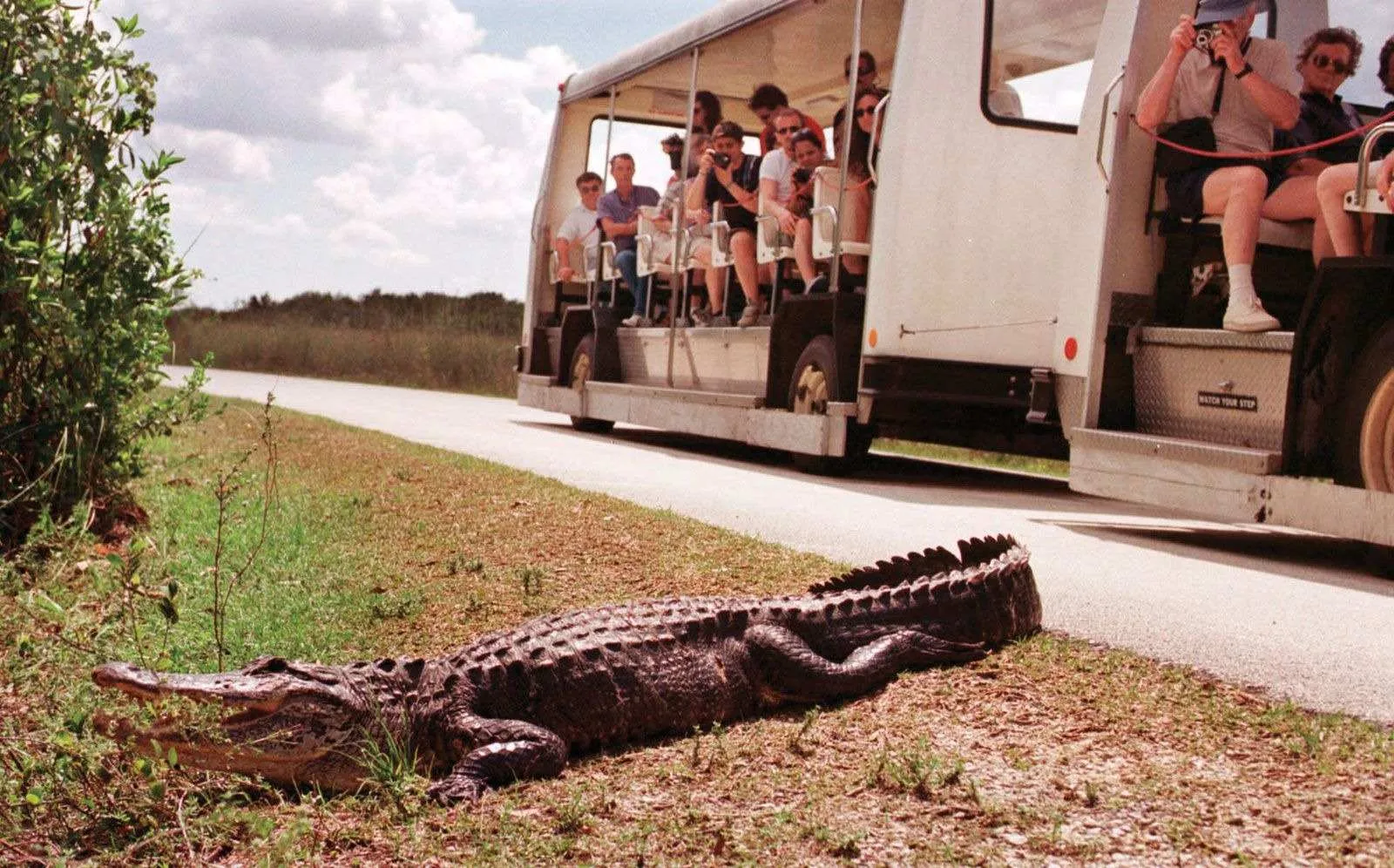 biscayne national park history