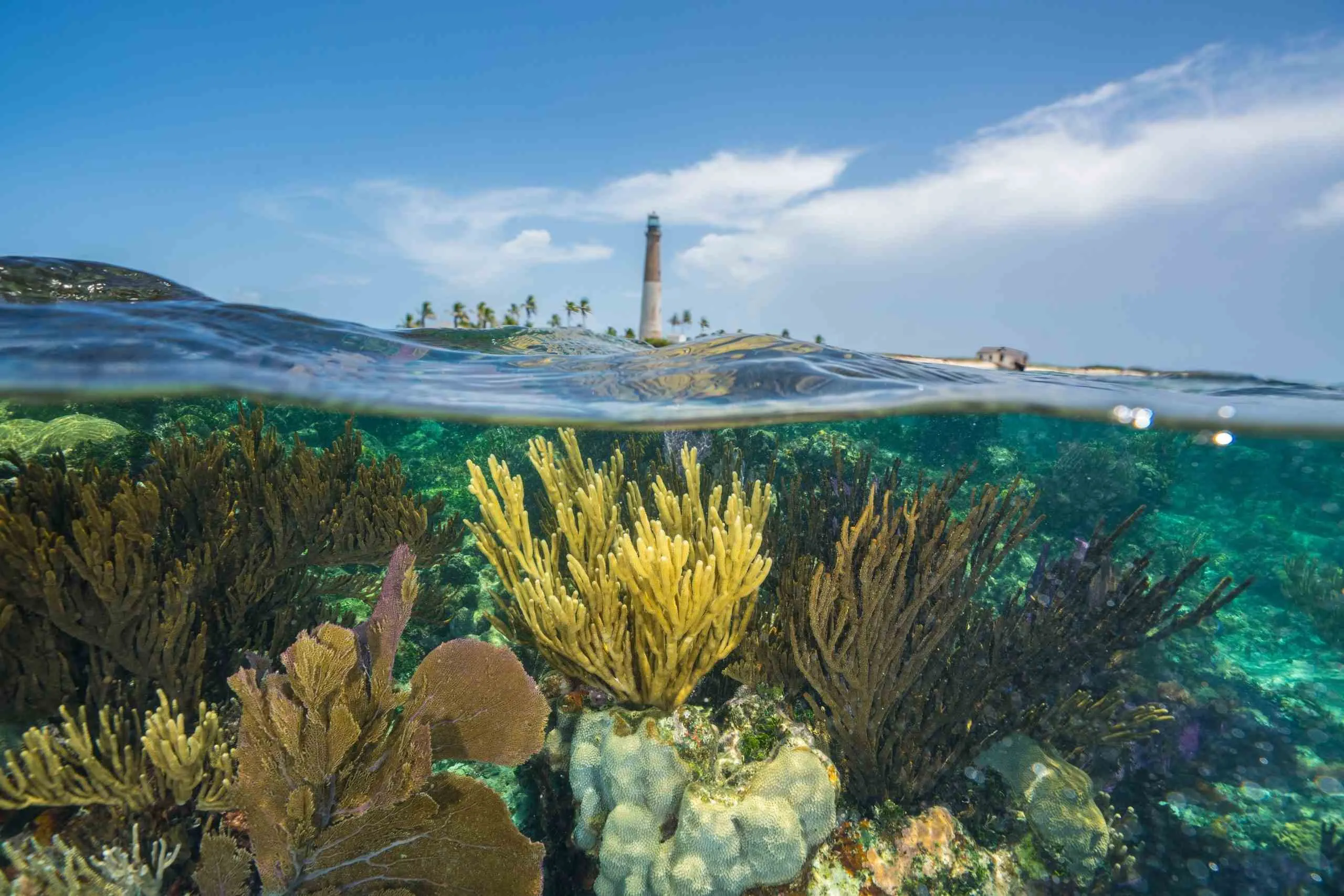 biscayne national park history