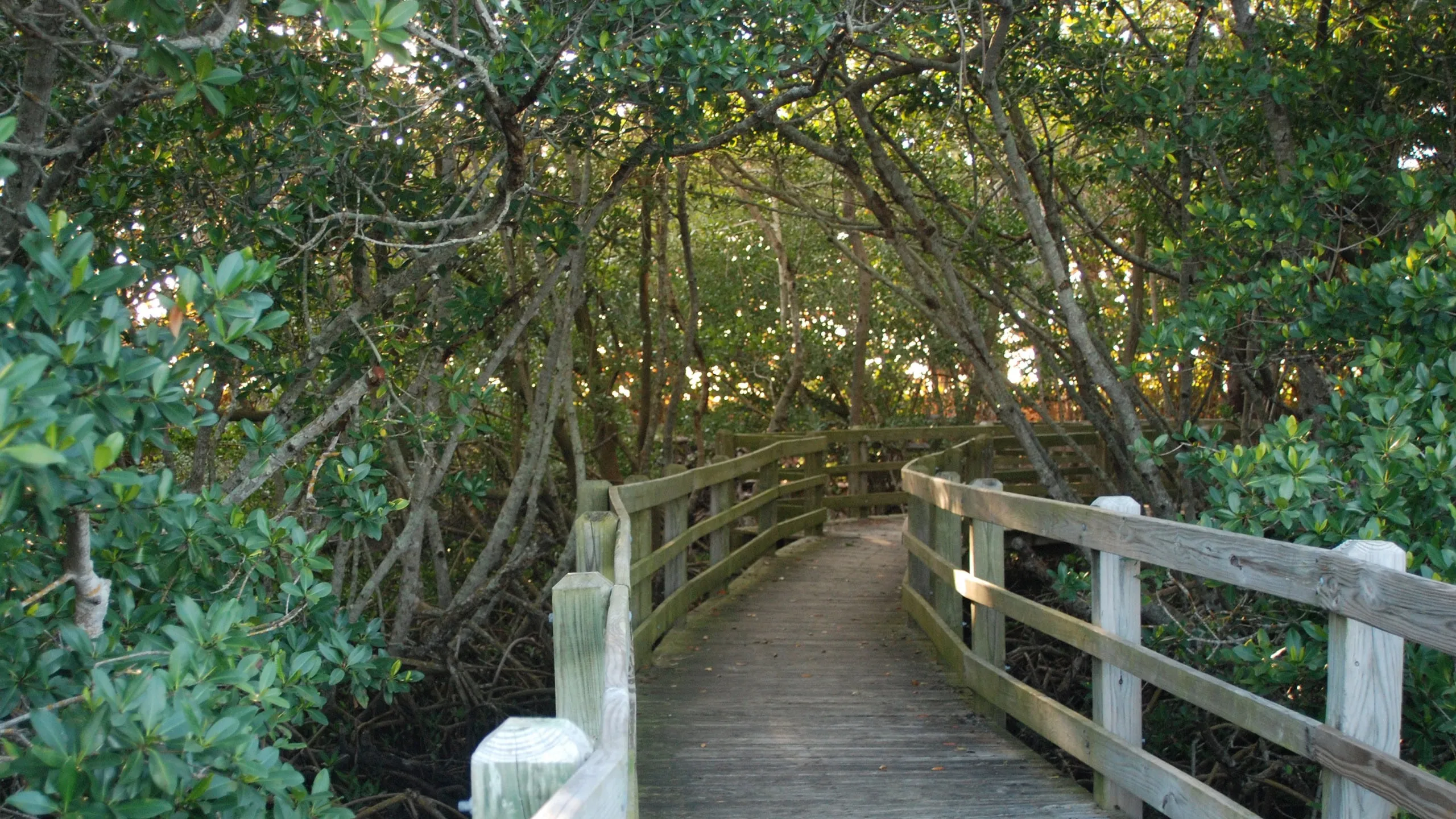 biscayne national park trails