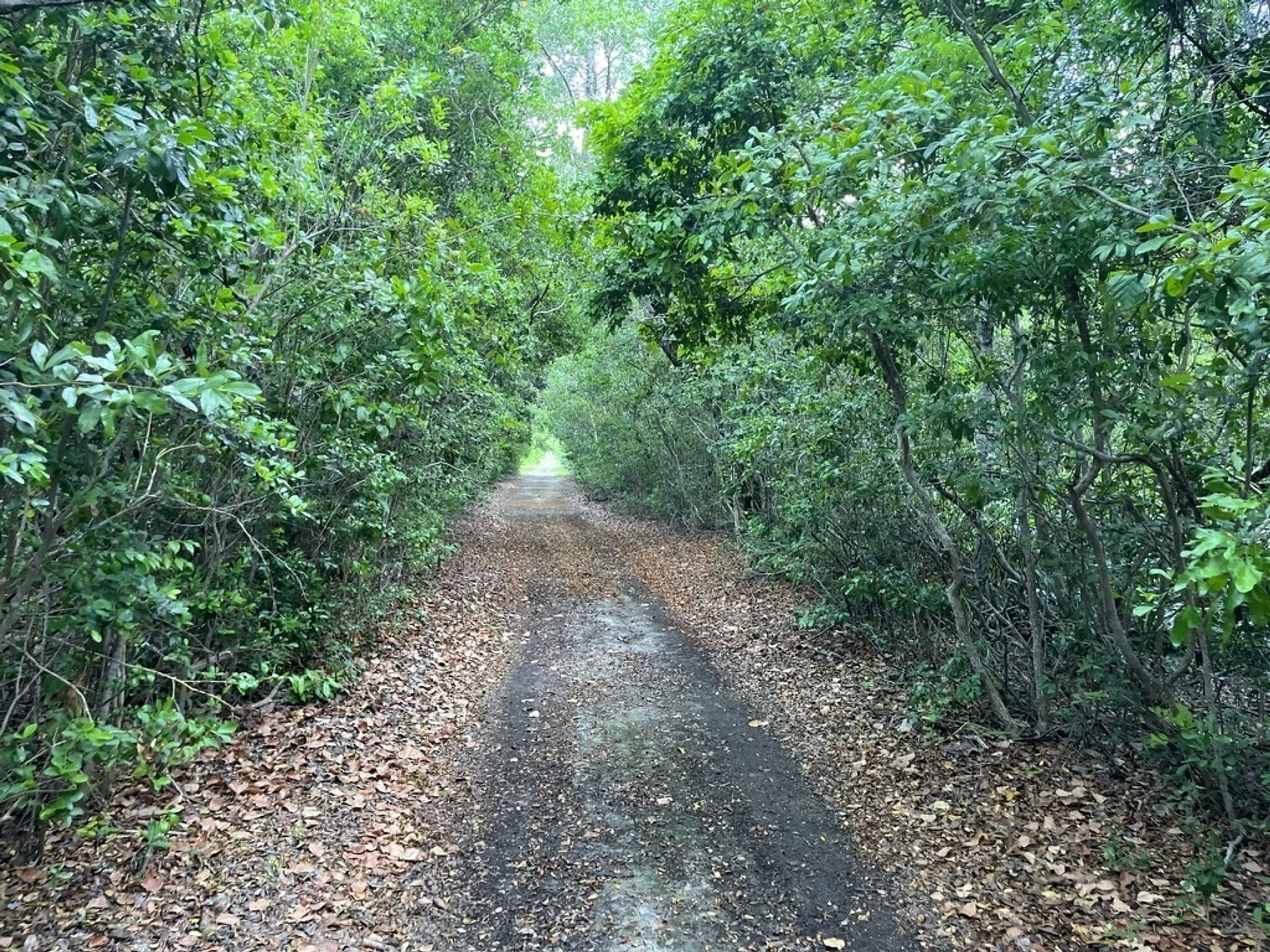 biscayne national park trails