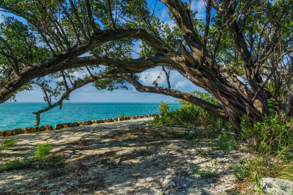 biscayne national park trails