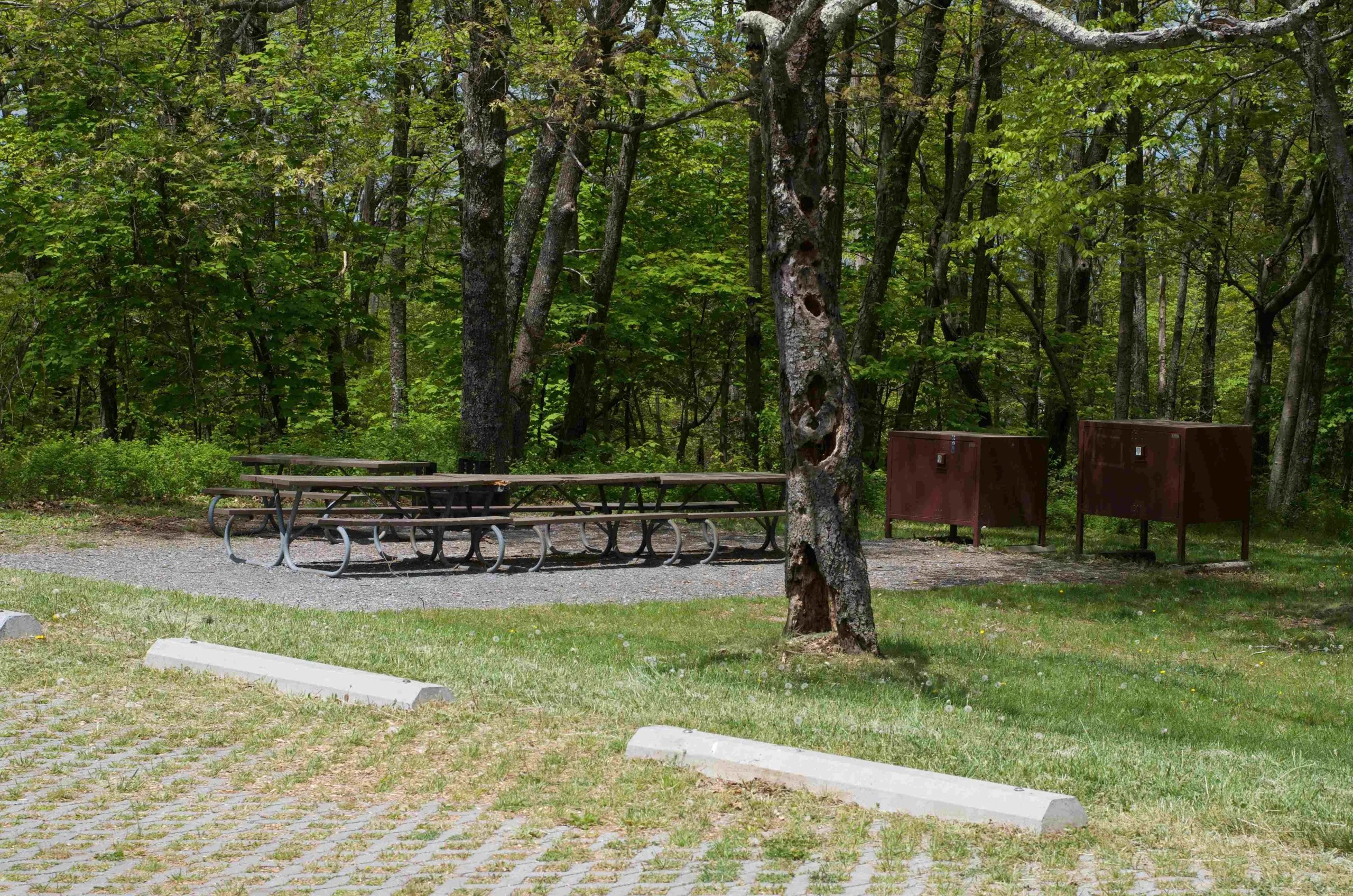 camping sites in shenandoah national park