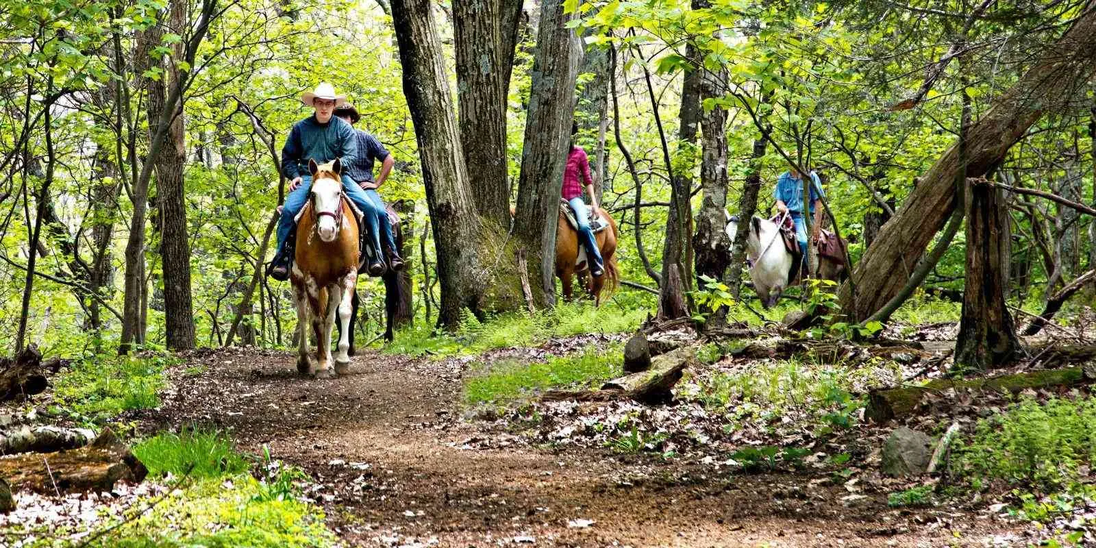 shenandoah national park horseback riding