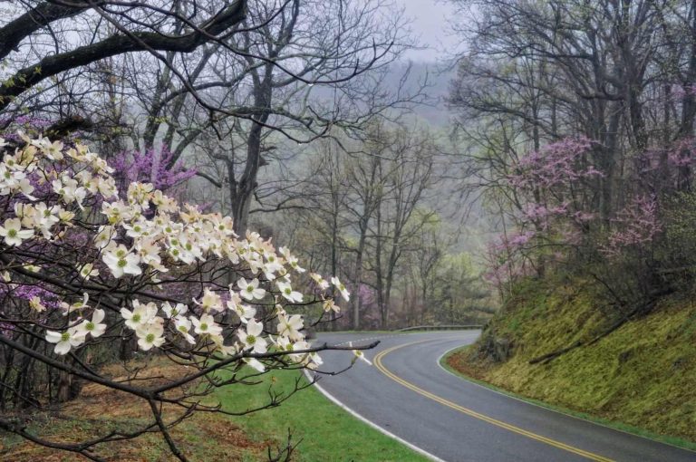 best time to visit shenandoah national park