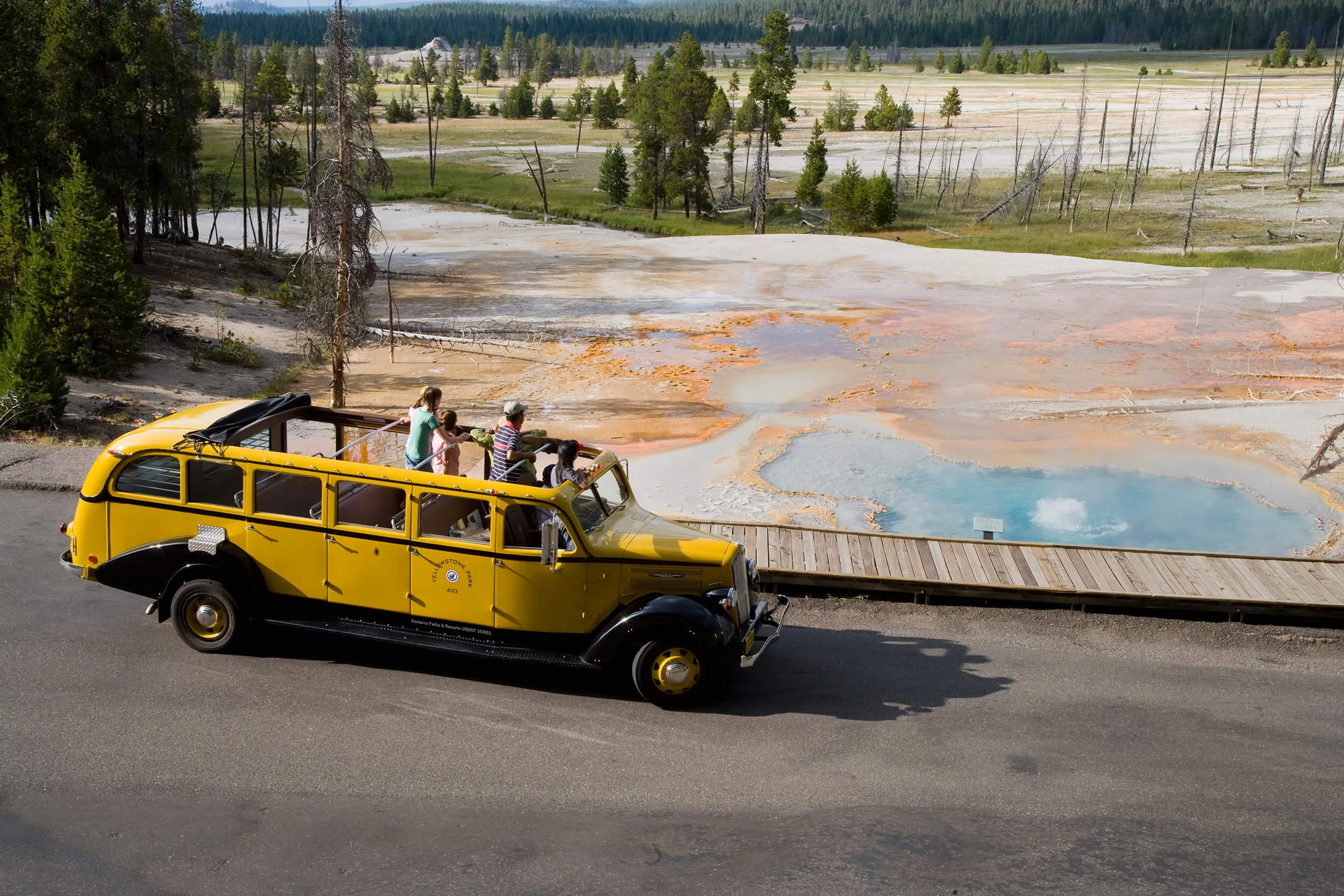 bus tours of yellowstone national park