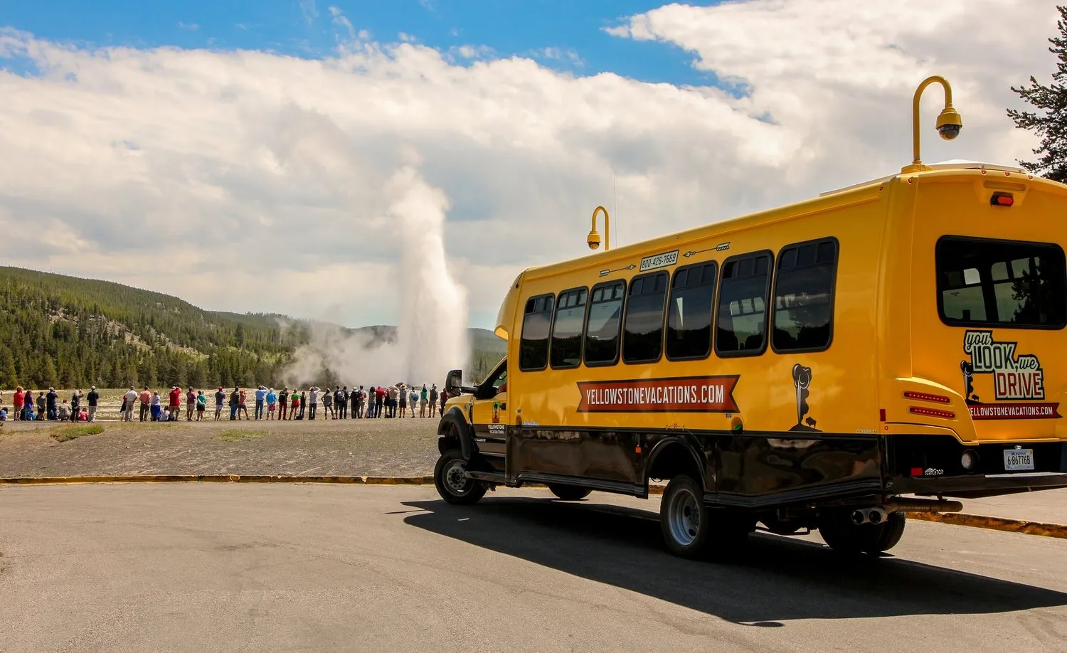 bus tours of yellowstone national park