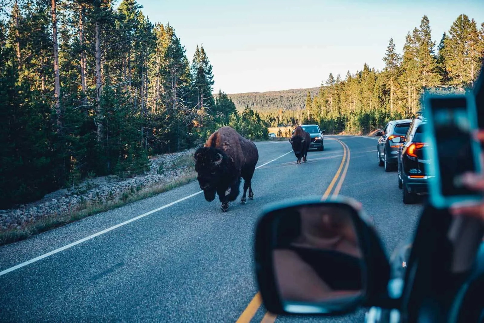 glacier national park to yellowstone