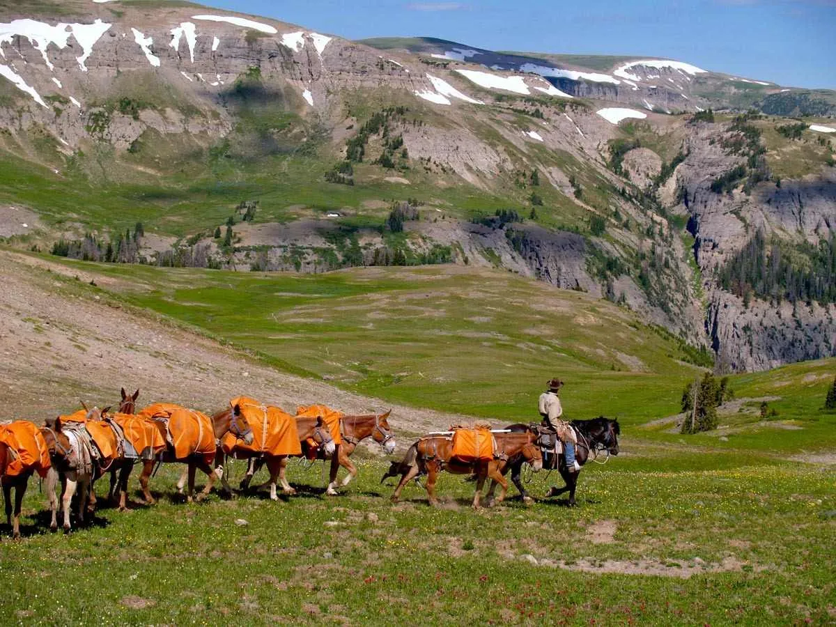 horseback riding in yellowstone national park