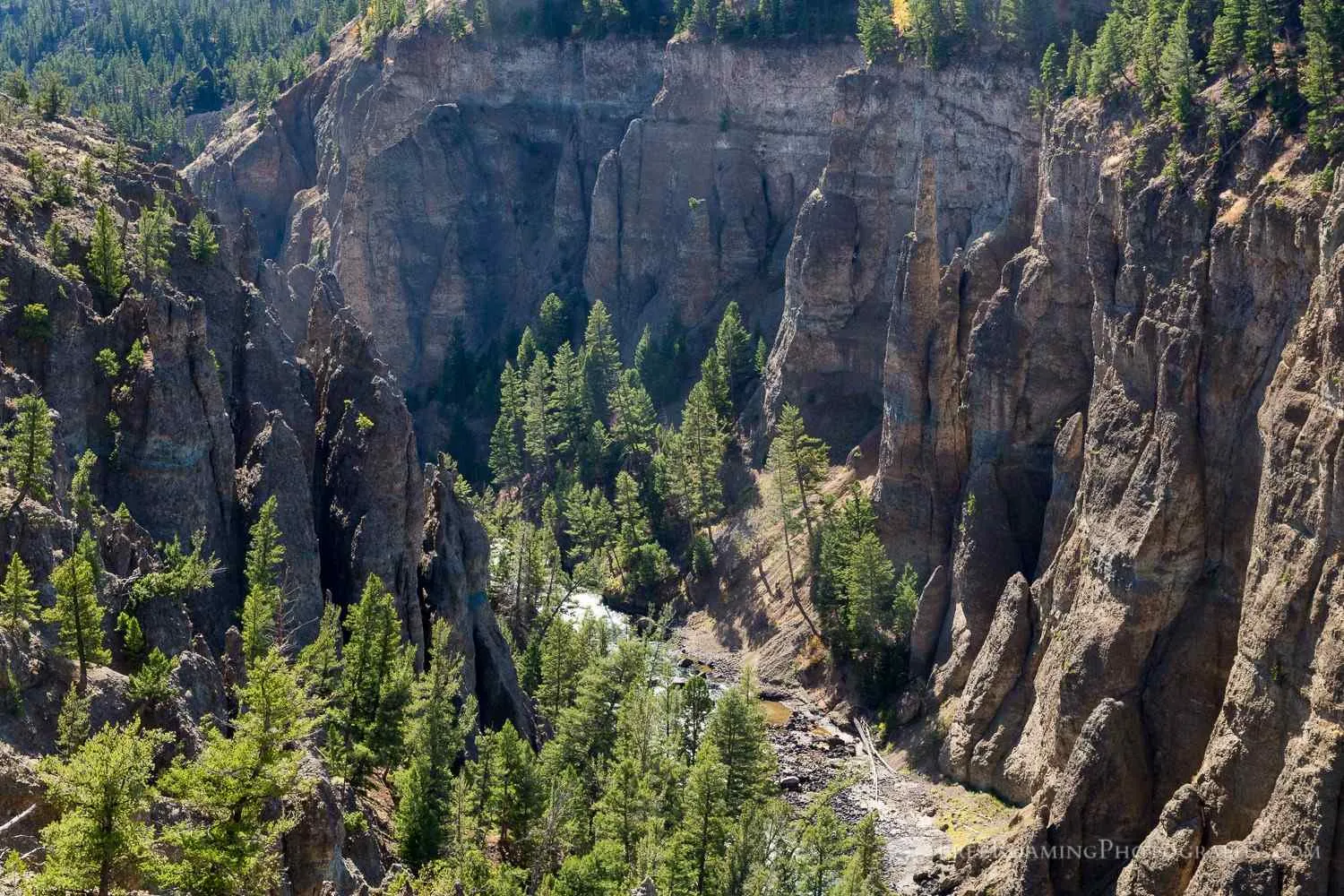 horseback riding in yellowstone national park