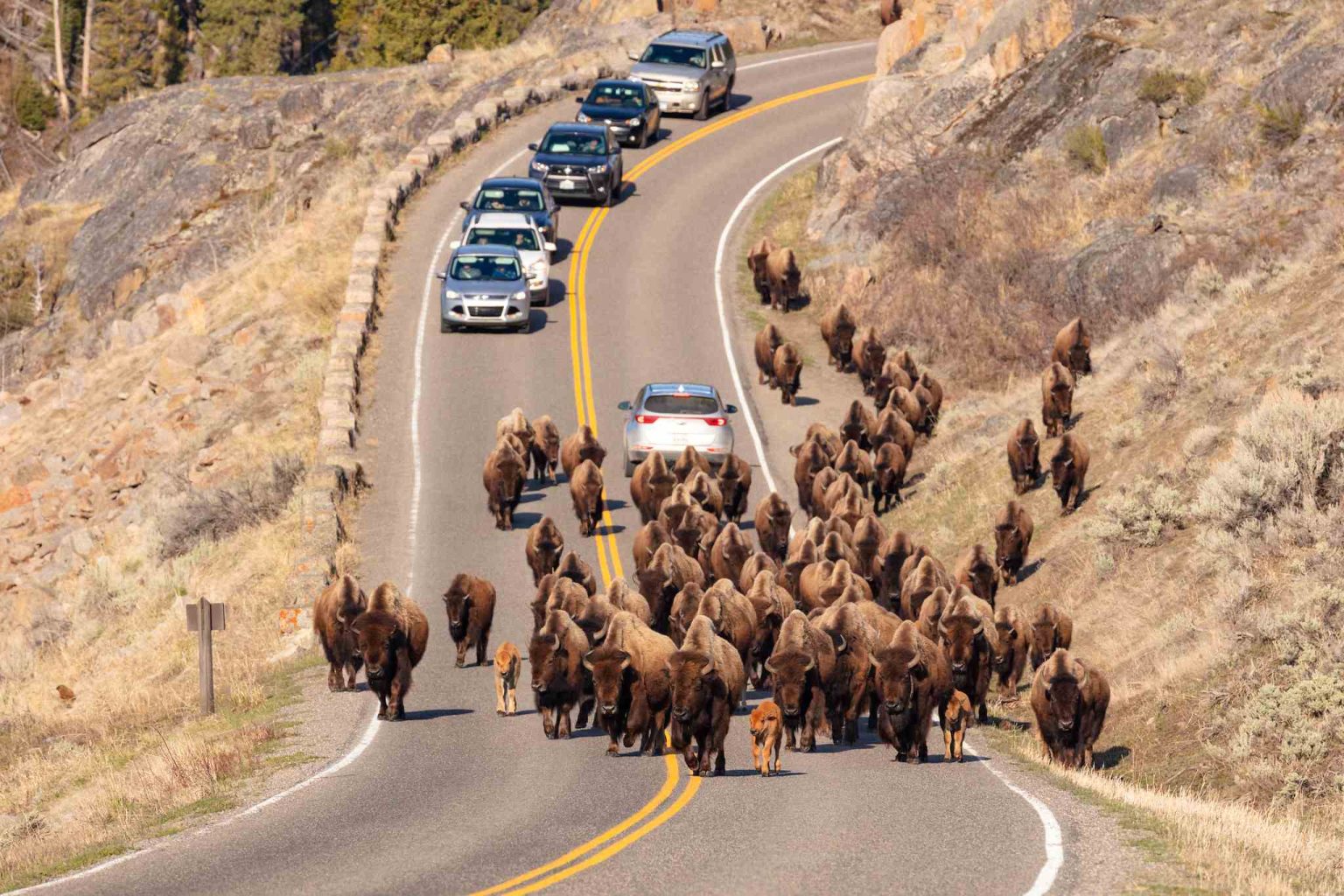 how to get to yellowstone national park