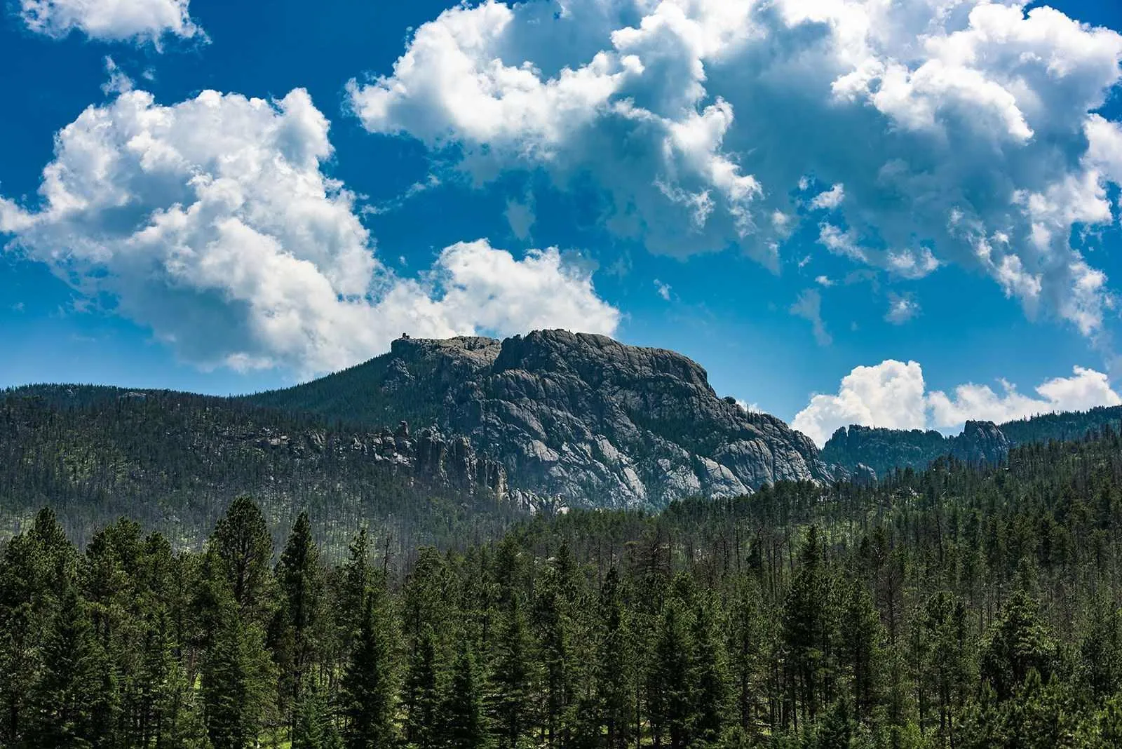 mount rushmore to yellowstone national park