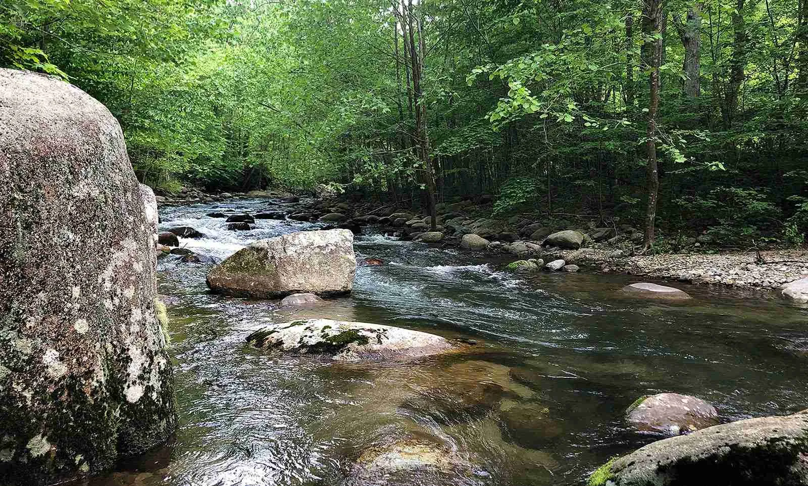 shenandoah national park fishing