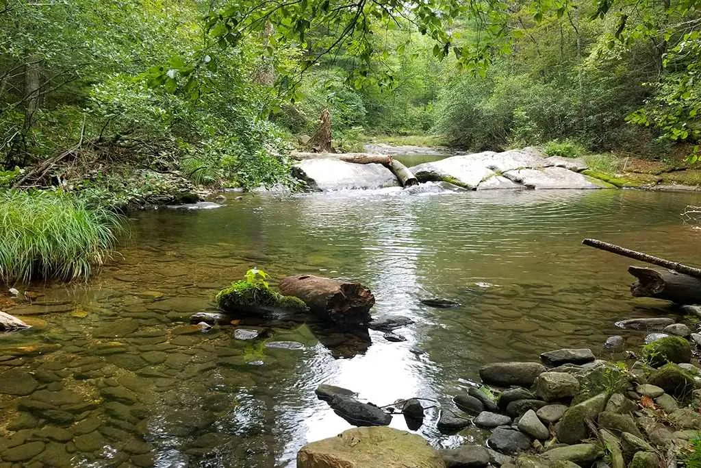 shenandoah national park fishing