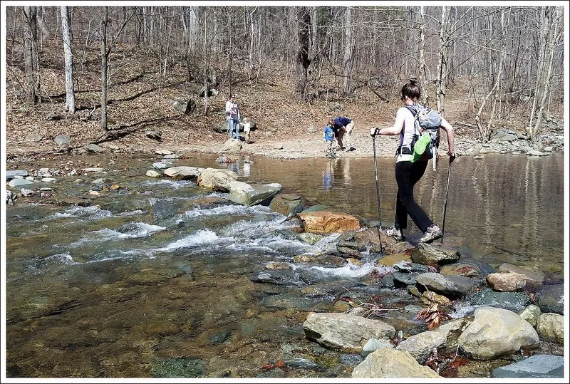 shenandoah national park fishing