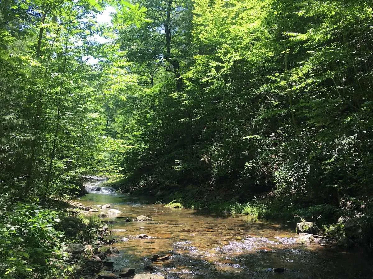 shenandoah national park fishing