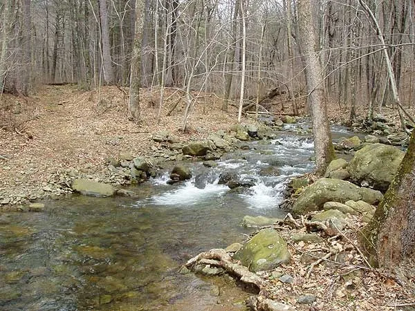 shenandoah national park fishing
