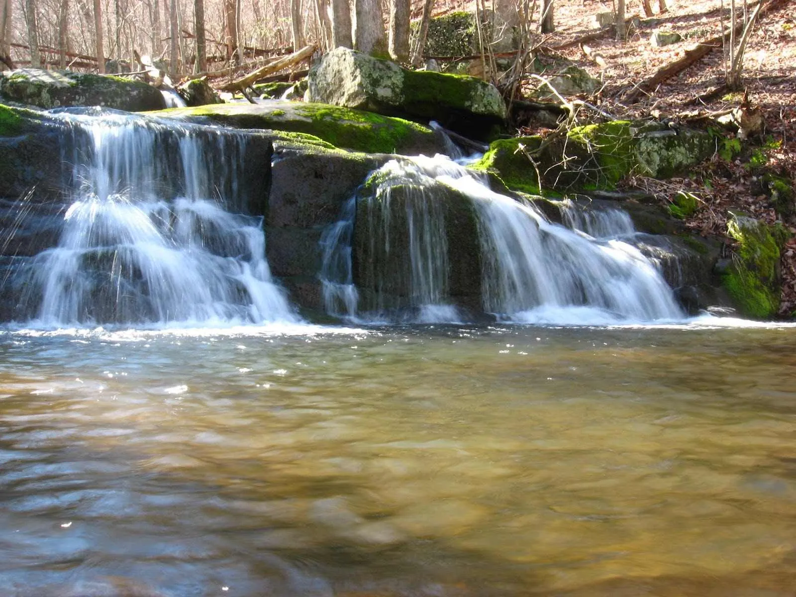 shenandoah national park fishing