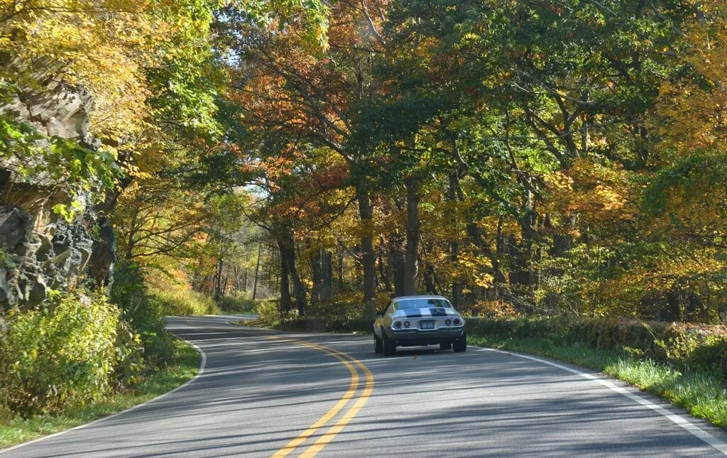 shenandoah national park in fall