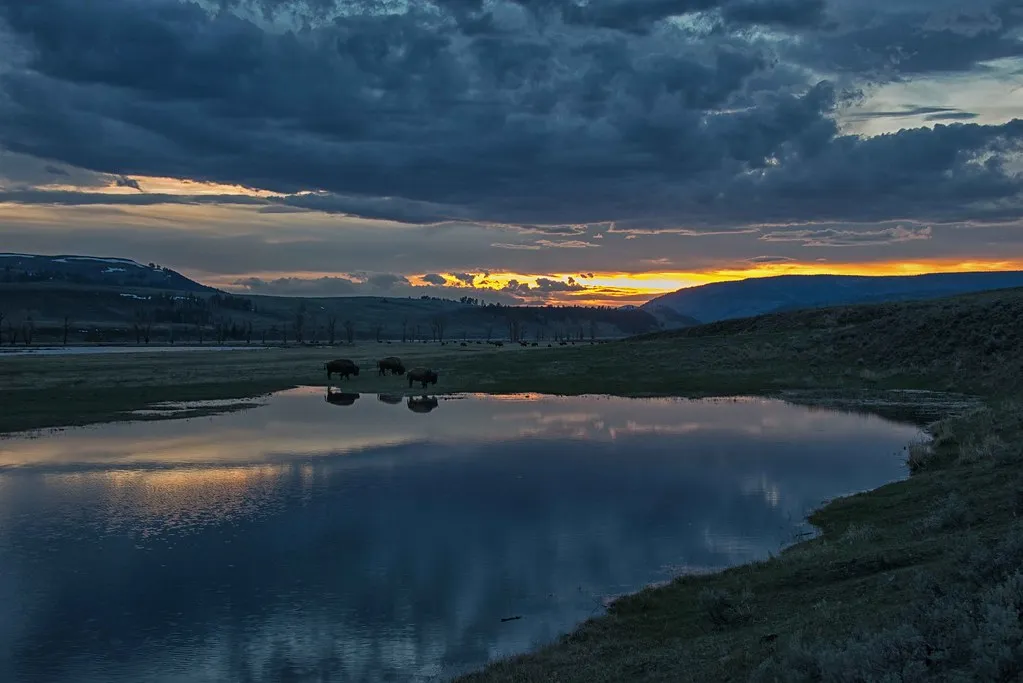 sunrise in yellowstone national park