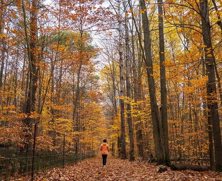 things to do in shenandoah national park