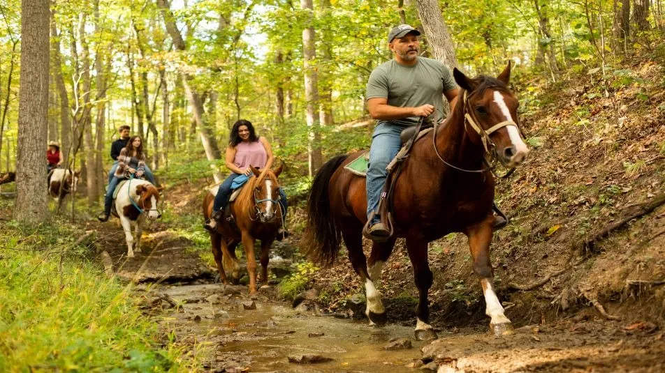 things to do in shenandoah national park