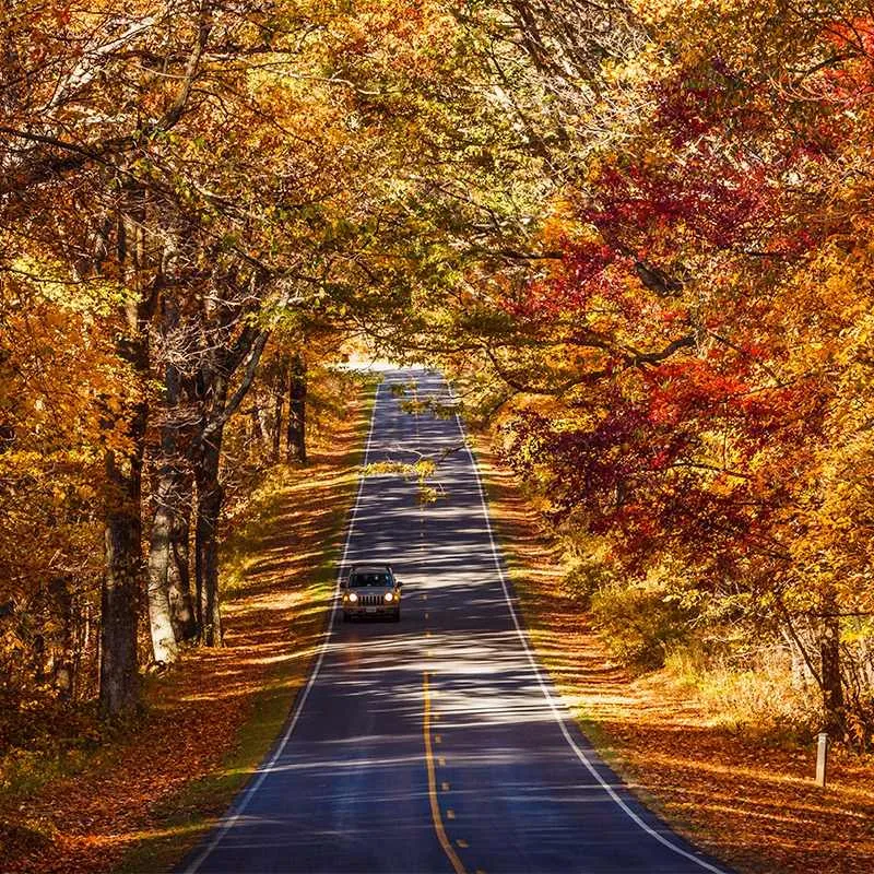 things to do in shenandoah national park