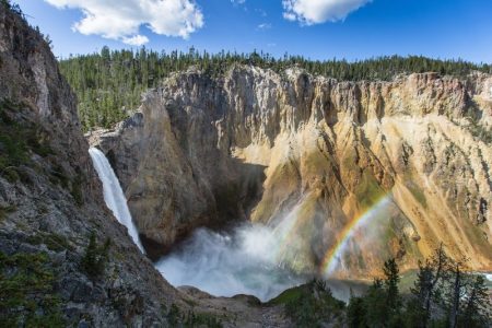 yellowstone national park in august