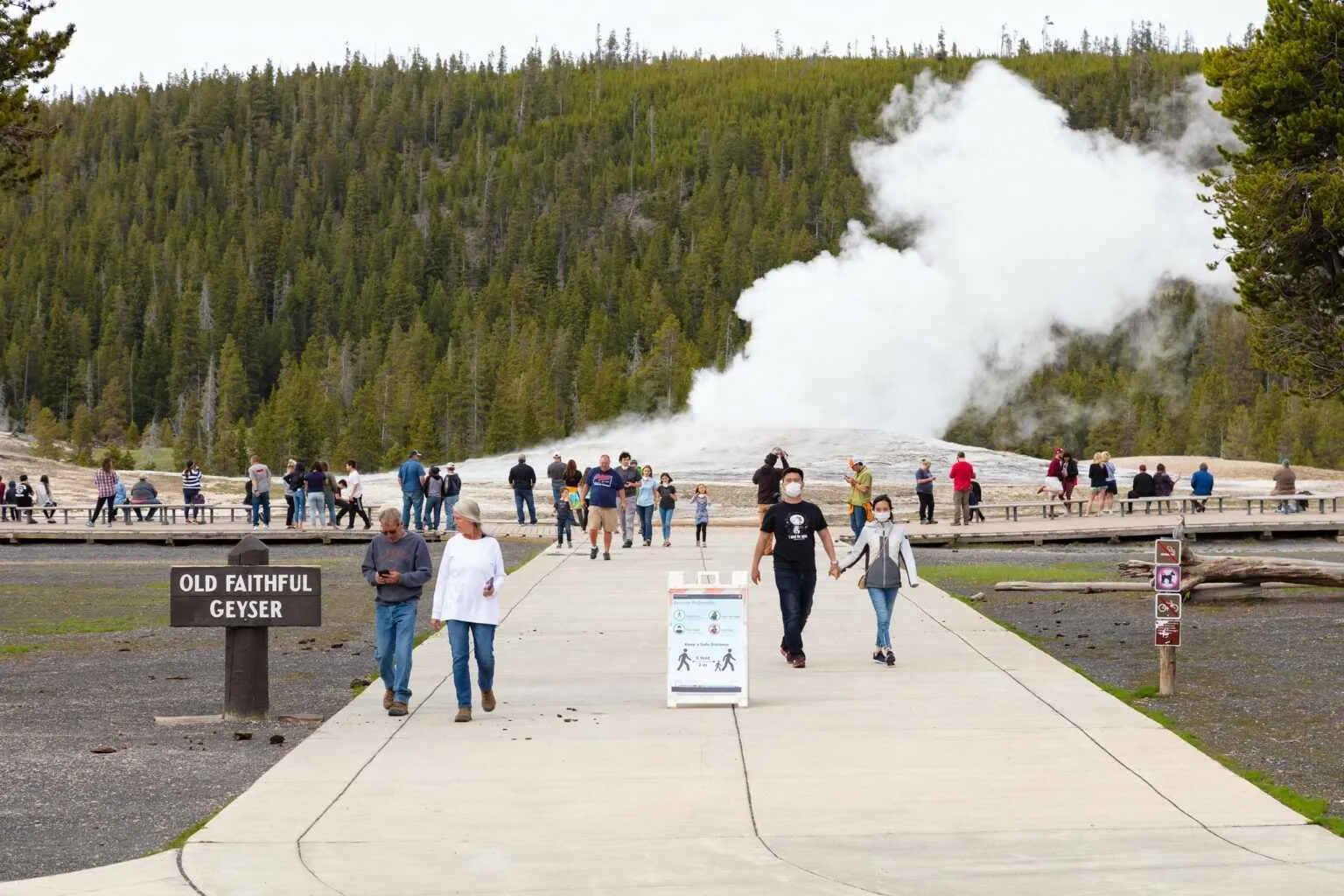 yellowstone national park in july