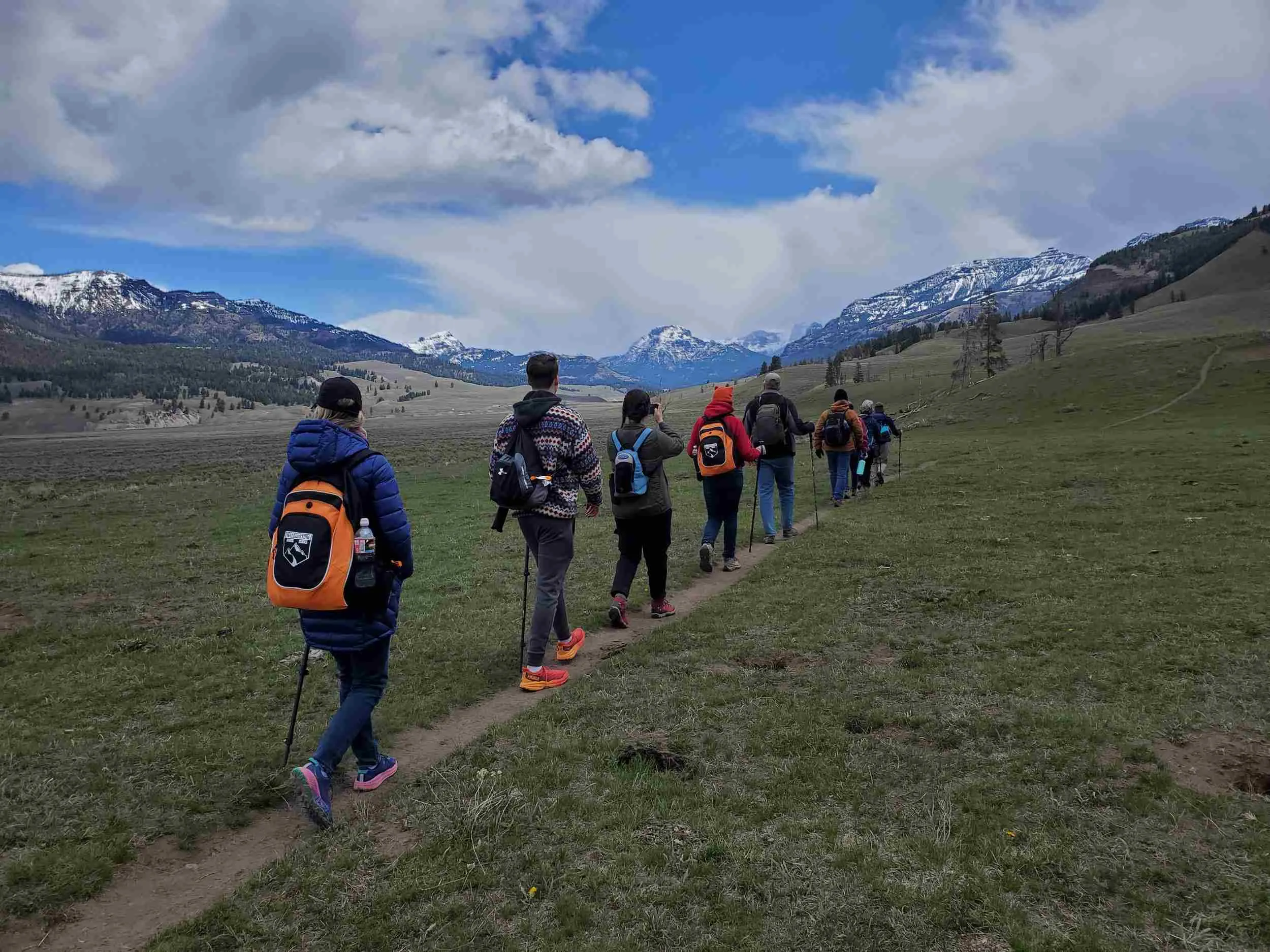 yellowstone national park in july