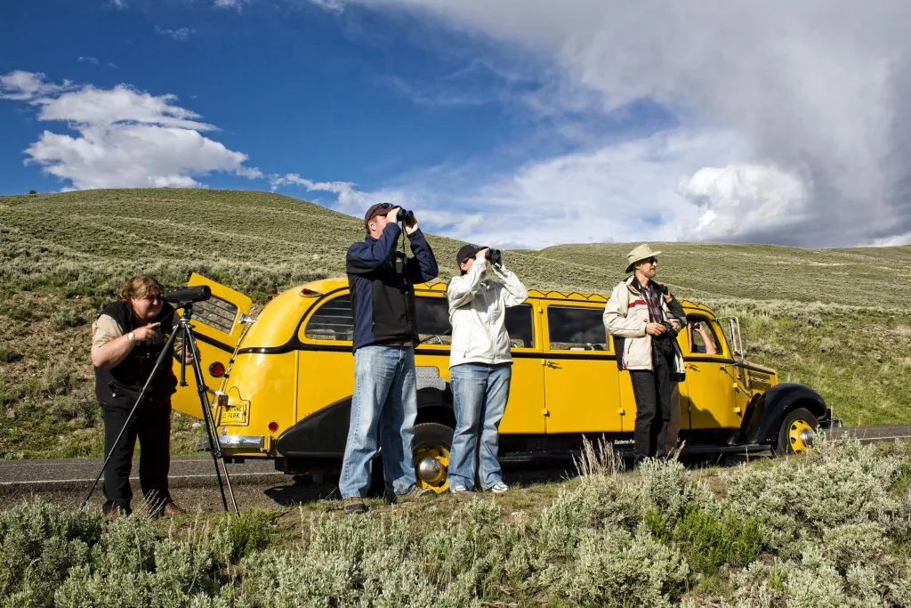 yellowstone national park in july