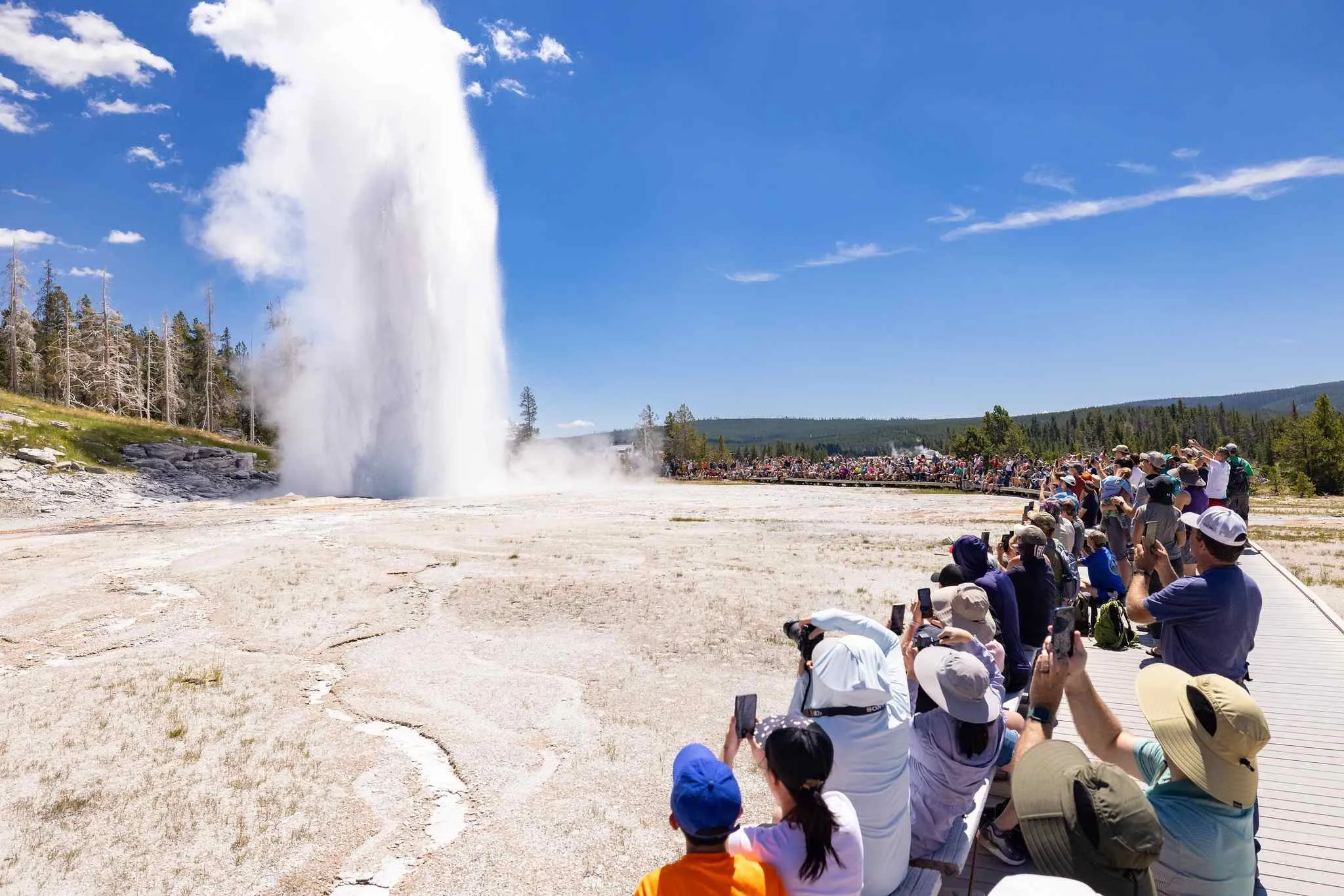 yellowstone national park in june