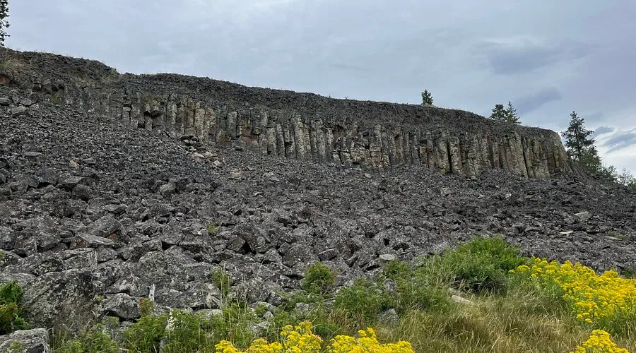 yellowstone national park in june