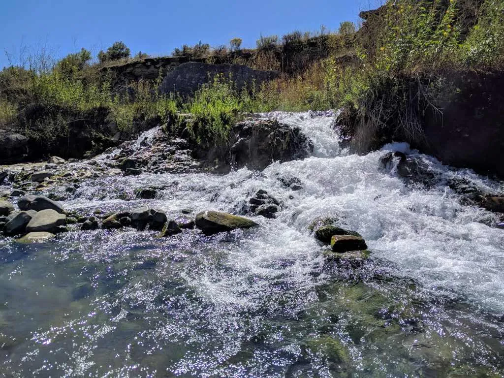 yellowstone national park in june